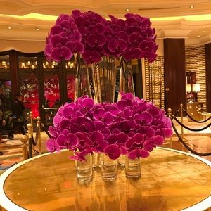 Meet your Posher, Marisol